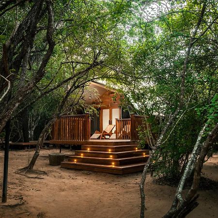Hotel Leopard Reach Yala By Seven Angels Tissamaharama Esterno foto