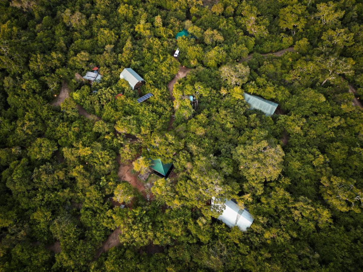 Hotel Leopard Reach Yala By Seven Angels Tissamaharama Esterno foto