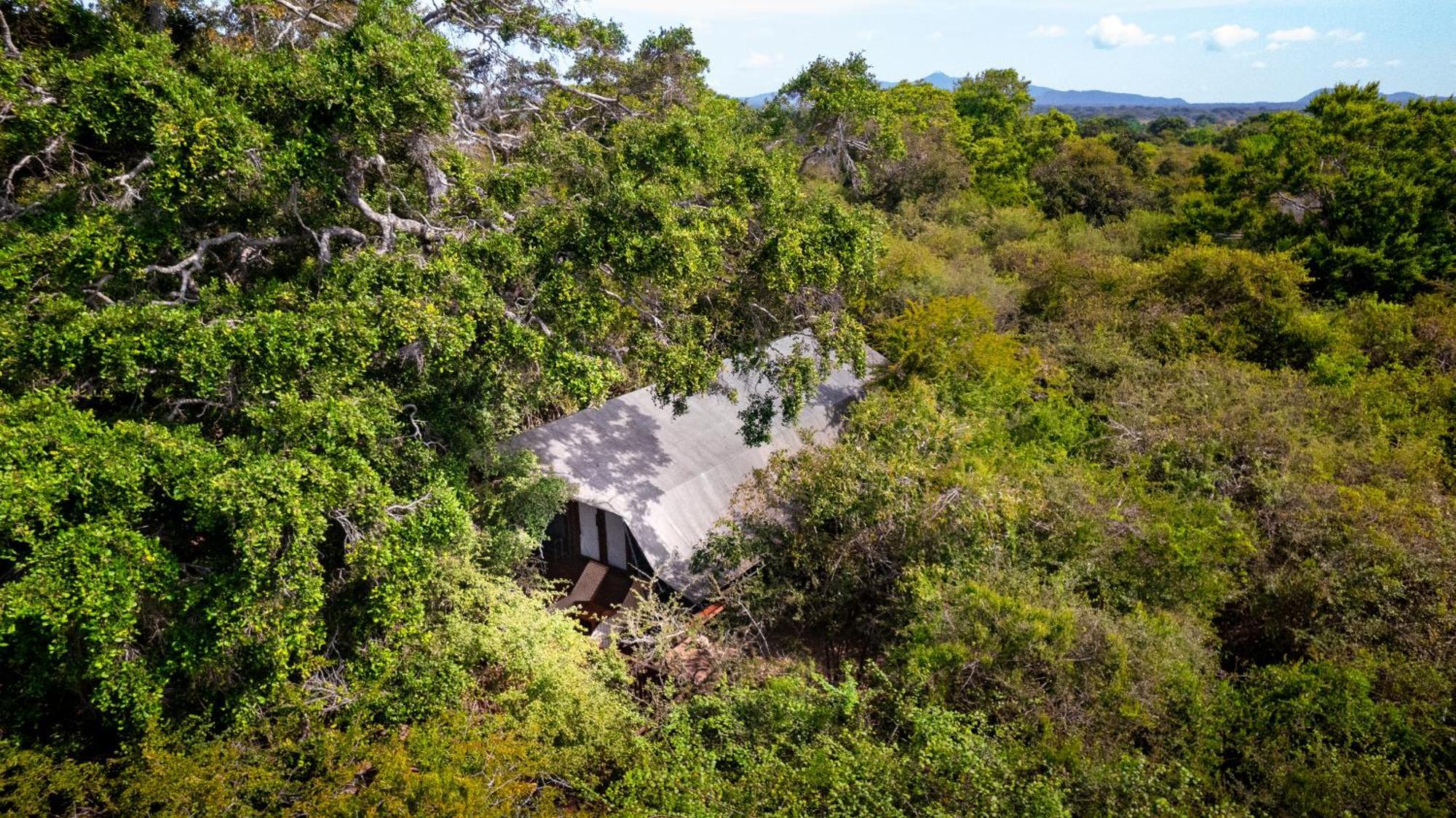 Hotel Leopard Reach Yala By Seven Angels Tissamaharama Esterno foto